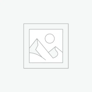 Artist Archives